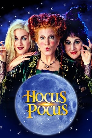 Hocus Pocus 1993 Hindi Dual Audio 320MB HD Poster Download - Filmyzilla