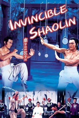 Invincible Shaolin 1978 Hindi Dual Audio [1.3GB] HD Poster Download - Filmyzilla