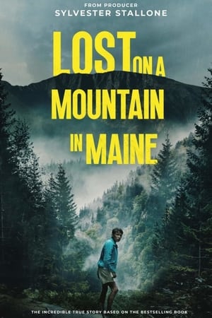 Lost on a Mountain in Maine 2024 Tamil Dubbed HD Poster Download - Filmyzilla