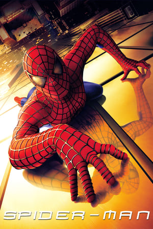 Spider-Man (2002) Hindi Dual Audio [820MB] HD Poster Download - Filmyzilla