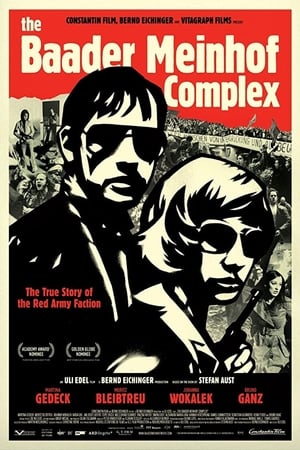 The Baader Meinhof Complex (2008) Hindi Dual Audio [1.2GB] HD Poster Download - Filmyzilla